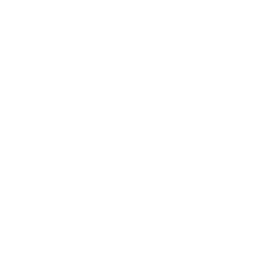 Xagone